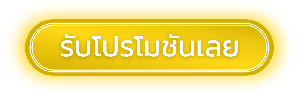 ปุ่มโปรโมชั่น